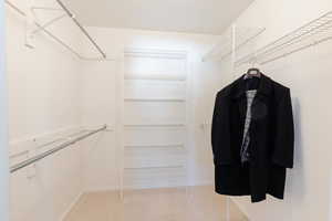 Walk in closet featuring light carpet