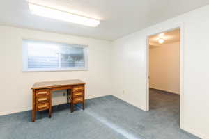 Unfurnished office featuring carpet flooring and a textured ceiling