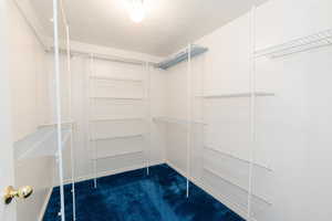 Walk in closet featuring dark colored carpet