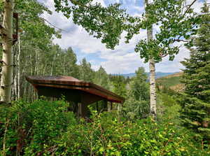 Exterior view of a forest