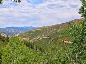 View of mountain background
