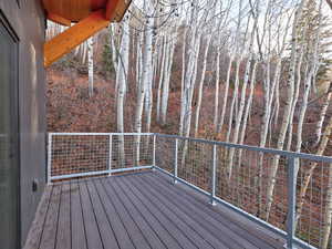 View of wooden deck