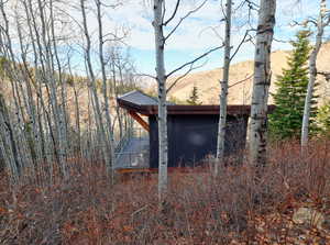 View of side of property with a metal roof and a deck