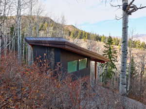 View of home's exterior featuring a view of trees