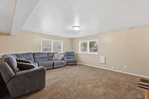 Basement family room