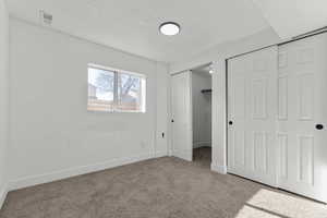 Basement bedroom with walk-in closet.