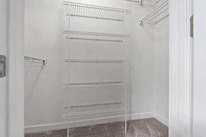 Spacious closet featuring carpet
