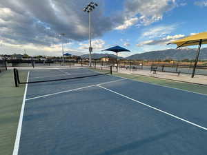Community Pickleball Court