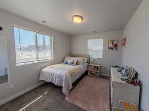Carpeted bedroom with multiple windows