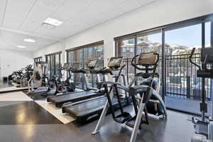 Workout area with a paneled ceiling