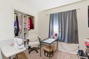 Office space with carpet floors