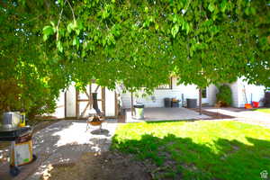 View of green lawn featuring a patio