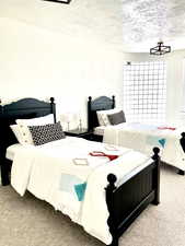 Carpeted bedroom featuring a textured ceiling