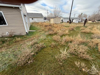 View of yard featuring a shed