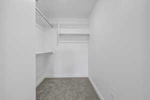 Spacious closet featuring light colored carpet