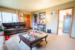 Carpeted living area featuring baseboards