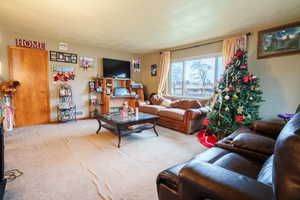Living room with carpet floors