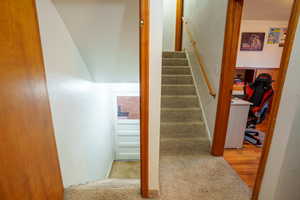 Stairs featuring wood finished floors