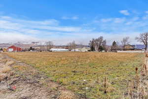 View of yard featuring a view of rural / pastoral area