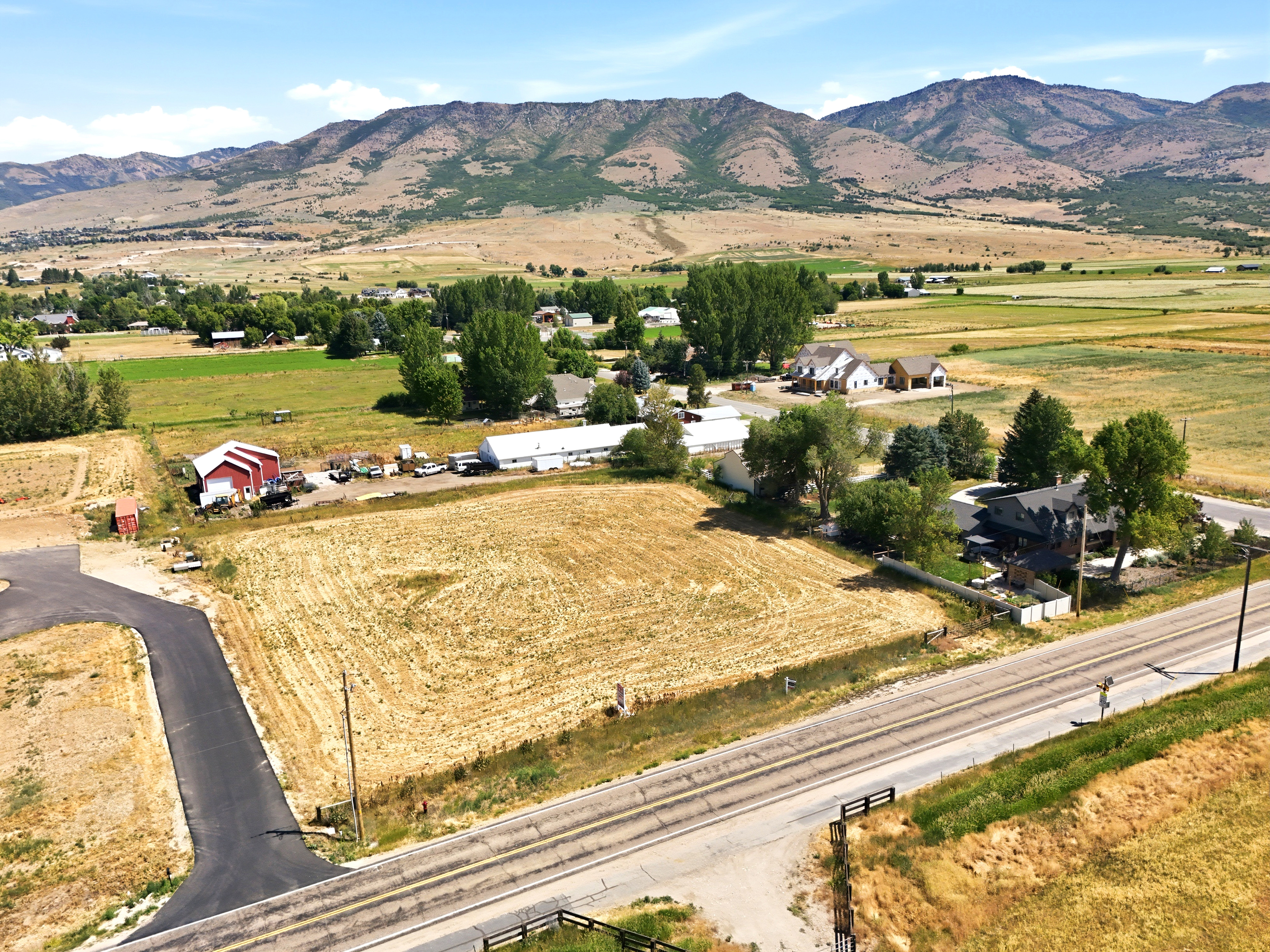 Expansive undeveloped lot featuring a newly paved asphalt driveway, a level building area, and surrounding mature trees