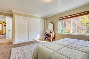 Carpeted bedroom featuring a textured ceiling, multiple windows, a closet, and crown molding