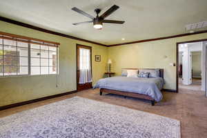 Bedroom with ceiling fan, a textured wall, carpet floors, ornamental molding, and a textured ceiling