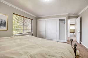 Bedroom with a textured ceiling, a closet, carpet floors, and ornamental molding