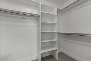 Walk in closet featuring light carpet
