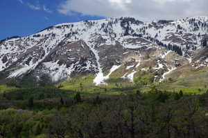 View of mountain background