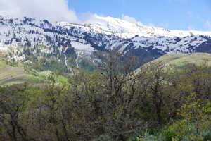 View of mountain backdrop featuring a heavily wooded area