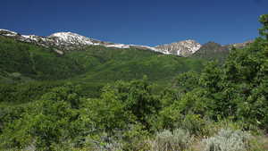 View of mountain background