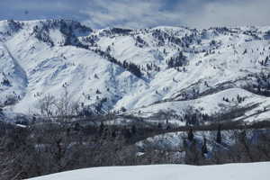 View of mountain background