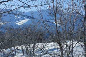 View of mountain background