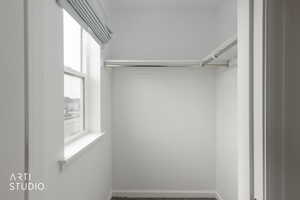 Spacious closet with carpet flooring