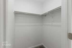 Spacious closet featuring dark carpet