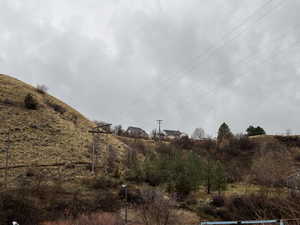 View of wooded area of lot, backs up to Quail Way and Sumac Dr.