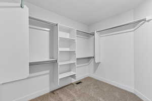 Walk in closet featuring light carpet