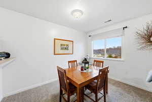 Dining space featuring carpet floors