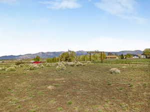 View of yard with a view of countryside and a mountain view