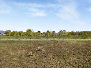 View of yard featuring a rural view