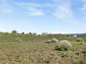 View of yard with a view of rural / pastoral area