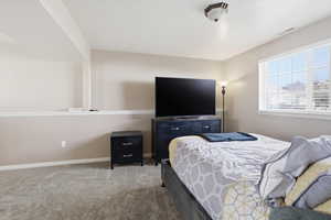 Basement Family room. Being used as a bedroom.