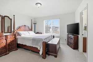 Primary Bedroom with bew carpet