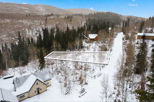 Snowy aerial view with a mountain view and a forest view