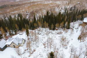 Snowy aerial view featuring a wooded view