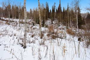 View of snow covered land with a view of trees