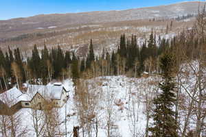 Snowy aerial view featuring a mountain view and a wooded view