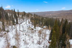 Snowy aerial view featuring a mountain view and a forest view