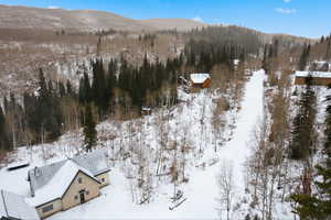 Snowy aerial view featuring a mountain view and a forest view