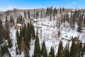 Snowy aerial view with a forest view